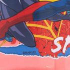 Spider-Man, sticla de apa din plastic, ecozen, 430 ml