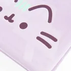 St.Majewski, Pusheen, caiet de plus A5, 96 foi, cu linie, 1 buc.