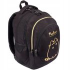 St.Right, Pusheen, rucsac pentru scoala, cu 4 compartimente, Gold
