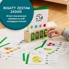 Topbright, Puzzle-uri logice, nivel avansat