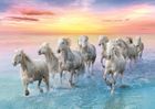 Trefl, Cai albi galopanti, puzzle, 500 piese