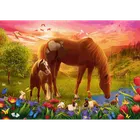 Trefl, Cai, puzzle, 500 piese