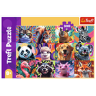 Trefl, Funny Animals, puzzle, 300 piese