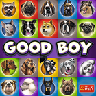 Trefl, Good Boy, joc