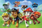 Trefl, Paw Patrol, Gata de actiune, puzzle, 60 piese