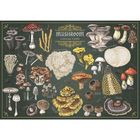 Trefl, Premium Plus, Finders Keepers, Mushroom Collection, puzzle, 500 piese