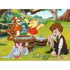 Trefl, Winnie The Pooh, puzzle, 30 piese