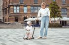 Scoot & Ride, Highwaykick 1 Push and Go, trotineta cu scaun si maner 3 in 1, Ash
