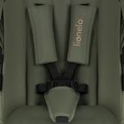 Lionelo, Amber Plus, carucior multifunctional 3in1, Green Forest