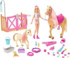 Barbie, Groom 'n Care, set cu papusa si accesorii