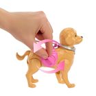 Barbie, Walk & Potty Pup, set de joaca cu papusa Malibu si accesorii