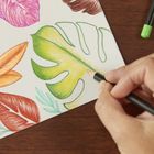 Bic, Intensity Premium, creioane colorate, 12 culori
