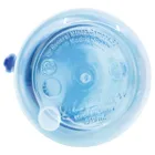 Bluey, sticla de apa din plastic, 510 ml