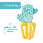 Chicco, Cactus, jucarie de dentitie cu apa
