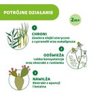 Chicco, Natural Z, roll-on, balsam de protectie usoara, 60 ml, 2 luni+