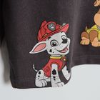 Cool Club, Bluza cu maneca lunga pentru baieti, gri, imprimeu Paw Patrol