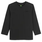 Cool Club, Bluza cu maneca lunga pentru baieti, mix, set, 2 buc.