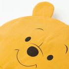 Cool Club, Caciula pentru baieti, galben, gri, imprimeu Winnie the Pooh, set, 2 buc.