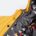 Cool Club, Geaca cu gluga pentru baieti, 3in1, galben-granit, imprimeu Mickey Mouse