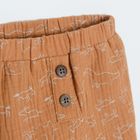 Cool Club, Pantaloni pentru baieti, maro, albastru, set, 2 buc.