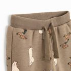 Cool Club, Pantaloni trening pentru baieti, maro, Imprimeu Moomins