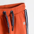 Cool Club, Pantaloni trening pentru baieti, mix de culori, imprimeu dinozauri, set 2 buc.