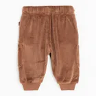 Cool Club, Pantaloni trening pentru baieti, velur, maro