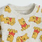 Cool Club, Set pentru baieti, Body cu maneca lunga, Pantaloni cu botosei, Esarfa, gri-galben, imprimeu Winnie the Pooh