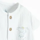 Cool Club, Set pentru baieti, Body cu maneca scurta, Pantaloni scurti, bloomers, mix, imprimeu Dumbo