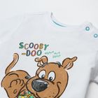 Cool Club, Set pentru baieti, tricou, pantaloni scurti de blugi, mix de culori, imprimeu Scooby-Doo