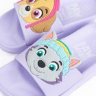 Cool Club, Slapi pentru fete, violet, imprimeu Paw Patrol