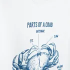 Cool Club, Tricou pentru baieti, alb, set, 2 buc.