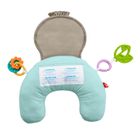 Fisher-Price, Lenes muzical, perna cu vibratii, jucarie interactiva pentru bebelusi