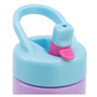 Gabby's Dollhouse, Playground, sticla de apa cu pai, 420 ml