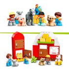 LEGO DUPLO Town, Ferma animalelor, 10952