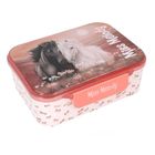 Miss Melody, Blossom Pony, cutie pentru pranz cu compartimente