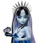 Monster High, Fear Idescent, Frankie Stein - serie stralucitoare, papusa cu accesorii