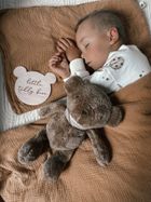 MyHummy (Szumisie), Ursulet 5 in 1 cu lampa, 36 cm, maro