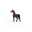 Schleich, Horse Club, Iapa Oldenburg, figurina, 13945