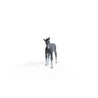 Schleich, Horse Club, Manz de rasa Trakehner, figurina, 13944