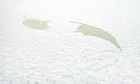 Sensillo, Luxe Aloe Vera, saltea, cocos-spuma-cocos, 120-60-11 cm