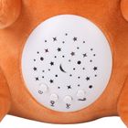 Smiki, Little Dreamer, Capibara, proiector de stele din plus