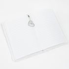 Smiki, Panda, jurnal de plus, carnetel