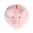 Smiki, pusculita porcusor, roz