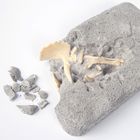 Smiki, Schelet de Triceratops, kit excavare, set de stiinta