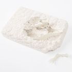 Smiki, Schelet stralucitor, Triceratops, kit excavare, set de stiinta