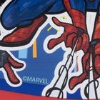 Spider-Man, cutie pentru pranz Funny