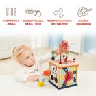 Topbright, Cub educational pentru bebelusi, 12 luni