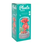 Trandafiri rosii, flori, piese de construit cu o cutie muzicala, 178 elemente
