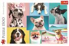 Trefl, Caini draguti, puzzle, 1500 piese